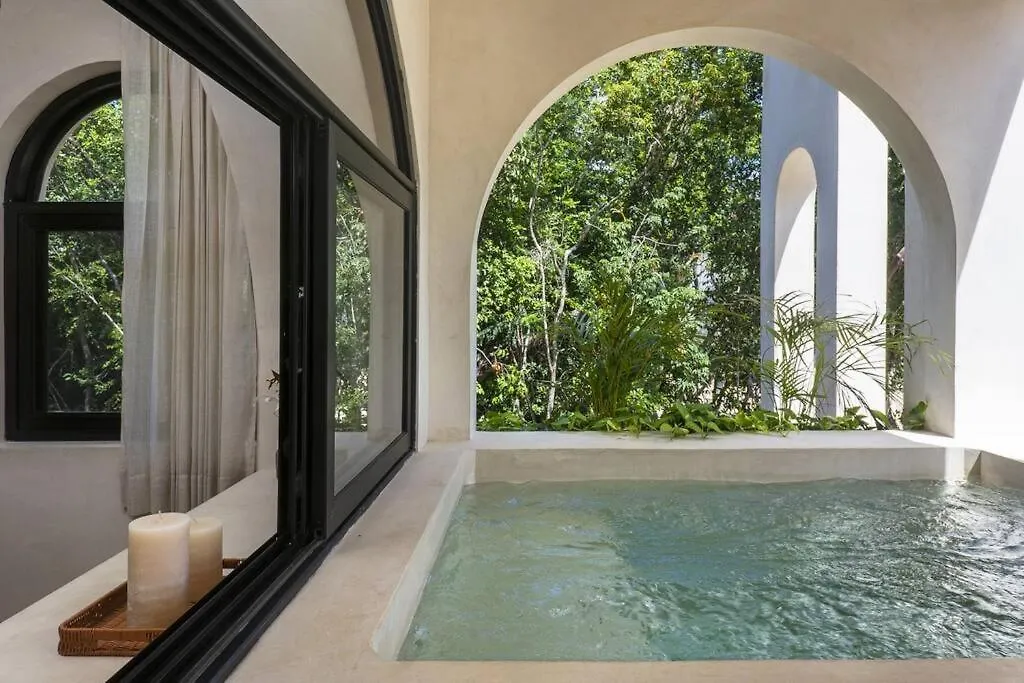 Newprivate Pool.200Mb.#1 Rooftop Tulum 0*,
